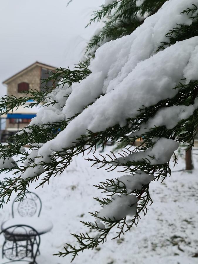 La Pommeraie D'Ifrane Ifrane  Eksteriør billede