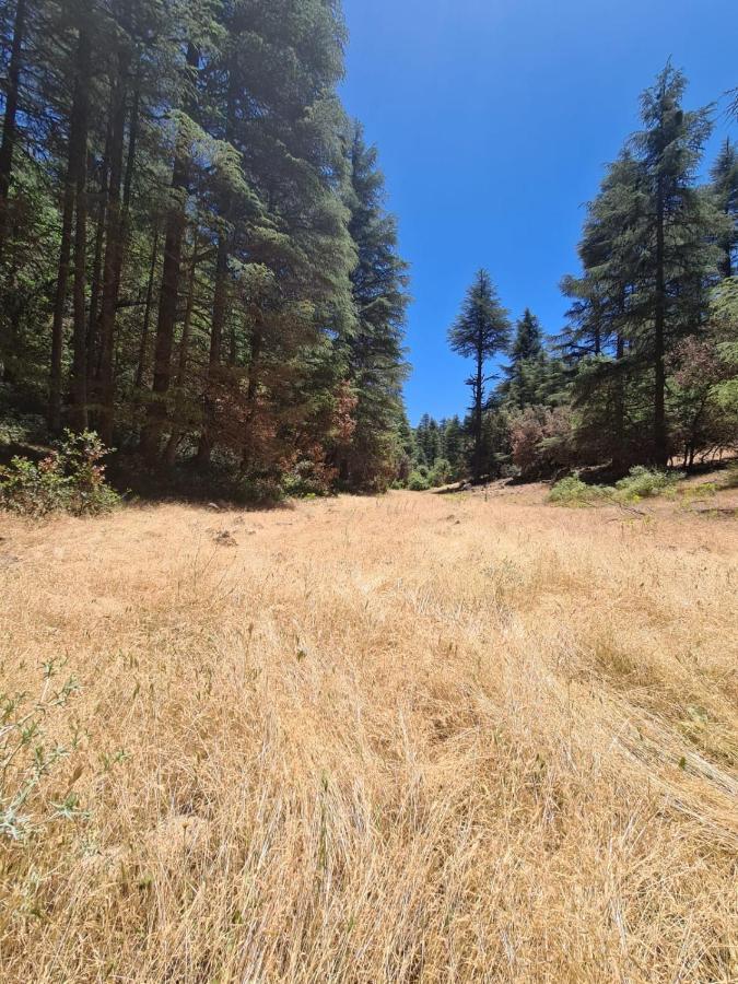 La Pommeraie D'Ifrane Ifrane  Eksteriør billede