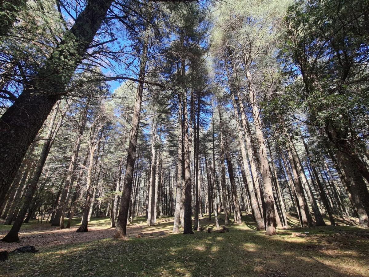 La Pommeraie D'Ifrane Ifrane  Eksteriør billede