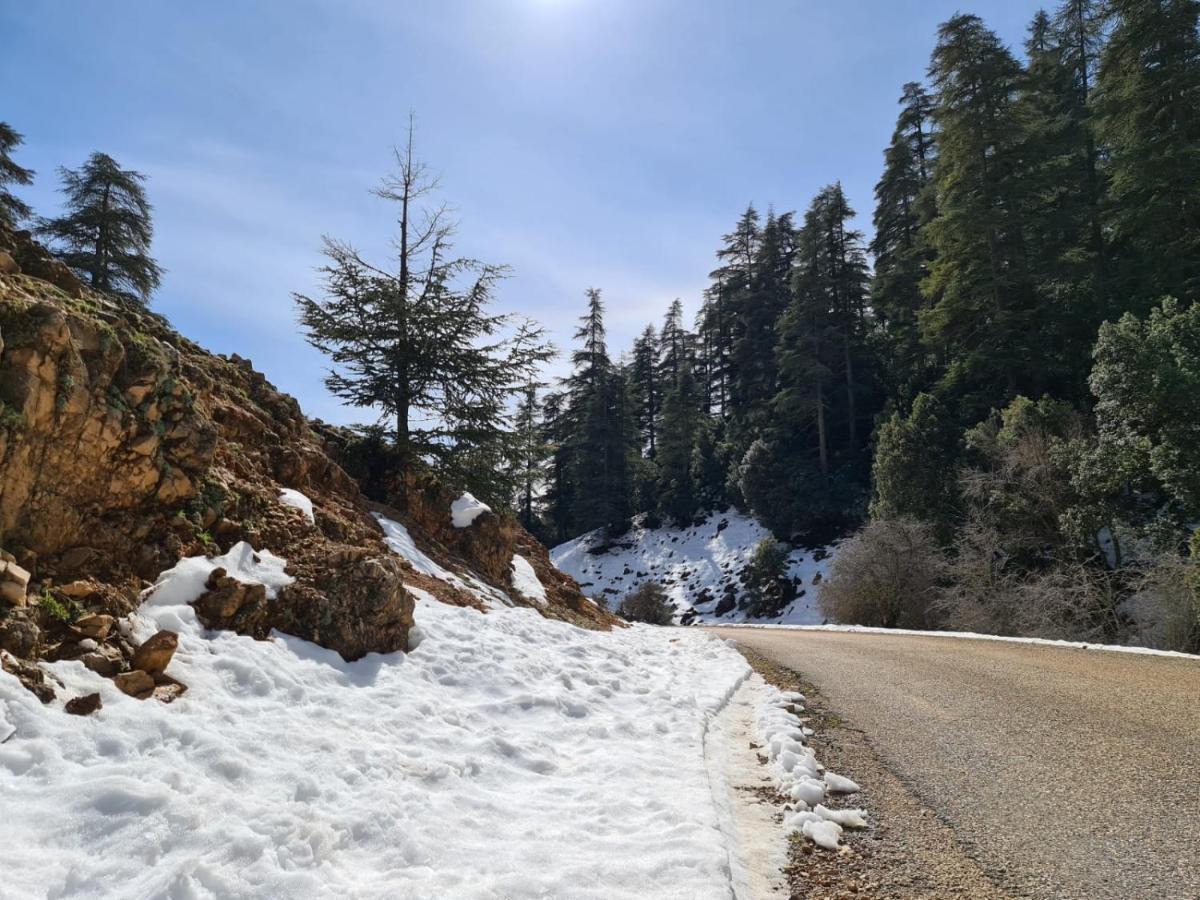 La Pommeraie D'Ifrane Ifrane  Eksteriør billede