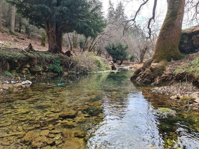 La Pommeraie D'Ifrane Ifrane  Eksteriør billede