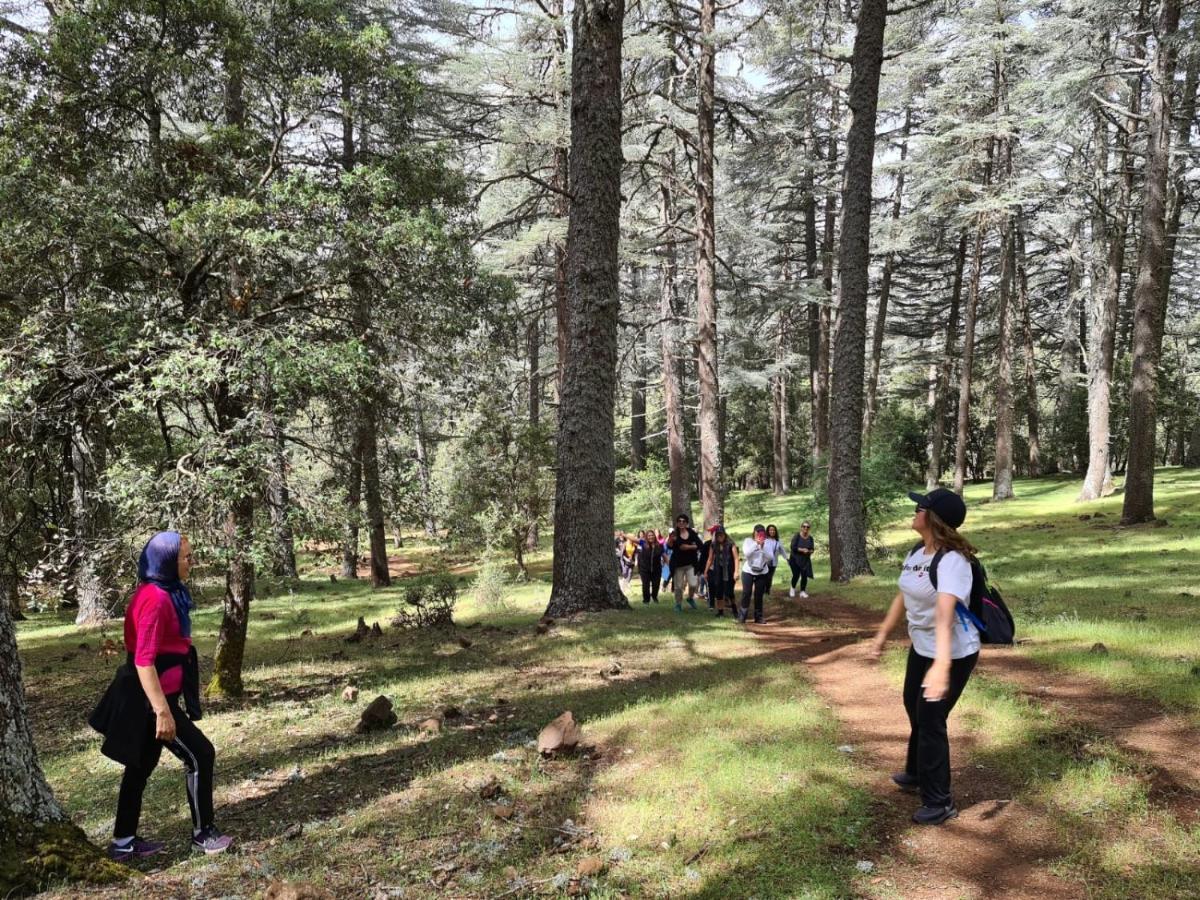 La Pommeraie D'Ifrane Ifrane  Eksteriør billede