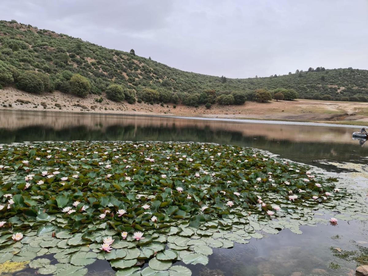 La Pommeraie D'Ifrane Ifrane  Eksteriør billede